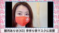 観月ありさ 手作り赤マスクに反響
