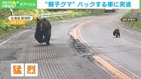 道路で遭遇した“親子グマ” バックで逃げるも…猛烈な勢いで車に突進 緊迫の瞬間