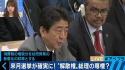 教育・福祉予算？憲法改正？衆議院解散、安倍総理の掲げる“大義”とは？
