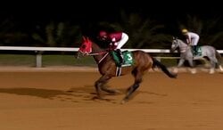 【サウジカップ】フォーエバーヤングが史上初の2連覇達成！ 圧巻競馬で1番人気の期待に応える