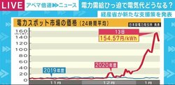 SNSには「電気料金10万円いくかも」と悲鳴も…寒波で思わぬ影響、「新電力」「市場連動型プラン」って何?