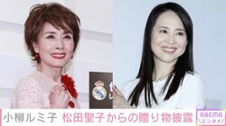 小柳ルミ子、松田聖子からのメールに感激「皆さんにお見せしたい位うれし過ぎる内容」