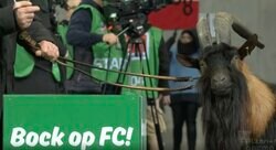 視聴者を一瞬で虜にした「世界一のマスコット」 楽しむサポーター達の中にまさかの“一匹のヤギ”