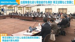 出産無償化巡り 現金給付も検討 帝王切開など念頭に