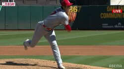 大谷翔平、2年連続のMVPはならず シーズン62本塁打のジャッジが受賞、各賞総なめ状態に