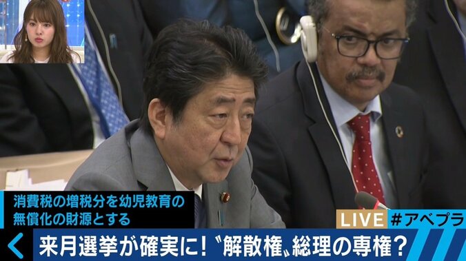 教育・福祉予算？憲法改正？衆議院解散、安倍総理の掲げる“大義”とは？ 1枚目