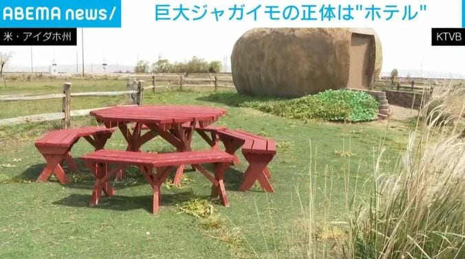 巨大ジャガイモ