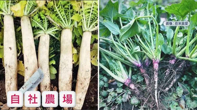 リーズナブルな食べ放題を実現