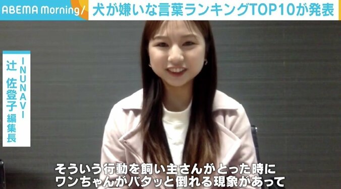 「飼い主が仕事に行く時にワンちゃんがバタッと倒れたが、後に仮病だとわかって」 “犬が嫌いな言葉ランキング”が発表 2枚目