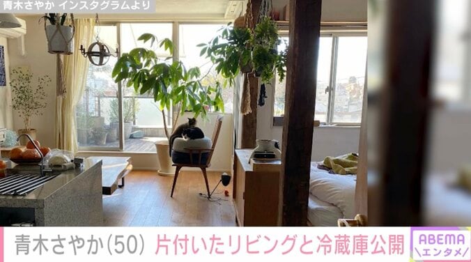 【写真・画像】青木さやか、整理整頓された冷蔵庫を公開し話題に「ディスプレイのよう」　2枚目