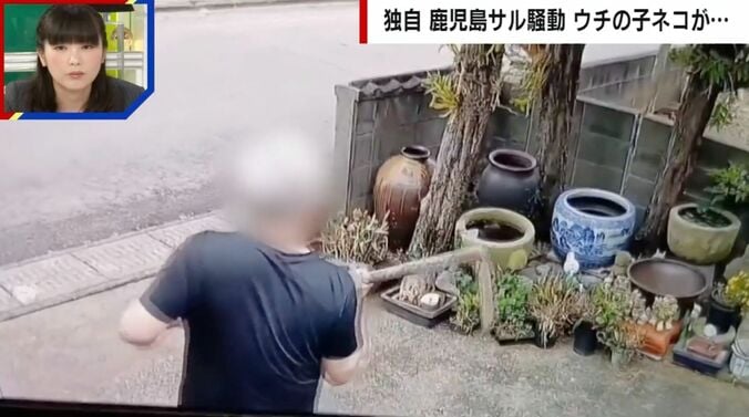 サルを追い払おうとする男性