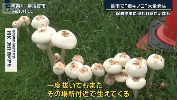 鈴木課長補佐