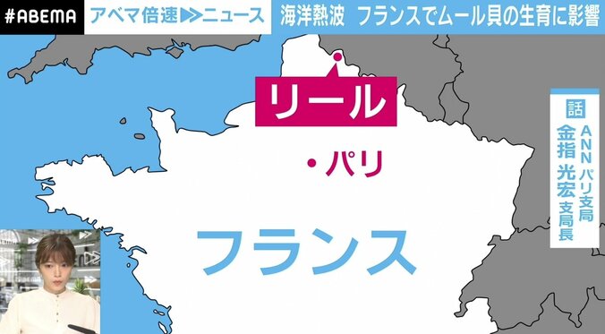 「カニ被害知って」ムール貝、収穫量激減の理由…フランス養殖業者が悲痛 2枚目