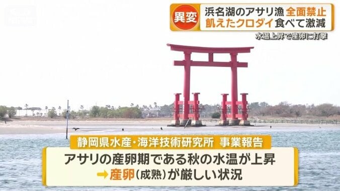 環境の変化が背景に