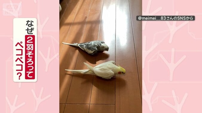 なぜそろってお辞儀する？