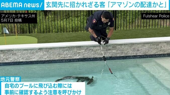 警察官、ワニ