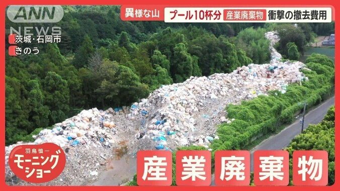 異様な光景“プール10杯分”産業廃棄物の山　住民から不安の声も「崩れそうで怖い」 1枚目