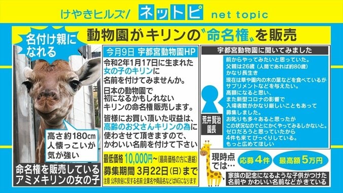 日本の動物園で初の試み!? 宇都宮動物園で赤ちゃんキリンの命名権販売を開始 1枚目