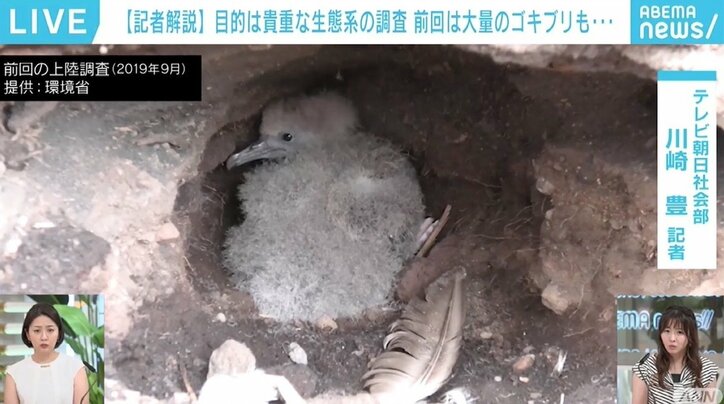 前回調査で生きていた昆虫は噴火でどのように…？ 研究者も感動する“神秘の島”「西之島」 調査団が出発