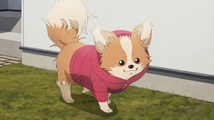 【写真・画像】　4枚目