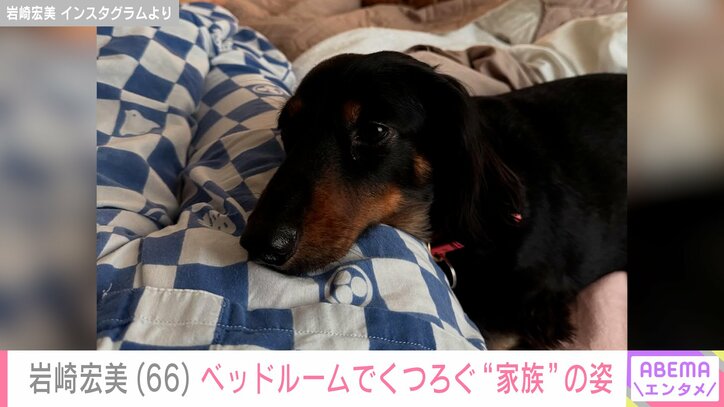 岩崎宏美 Instagramより