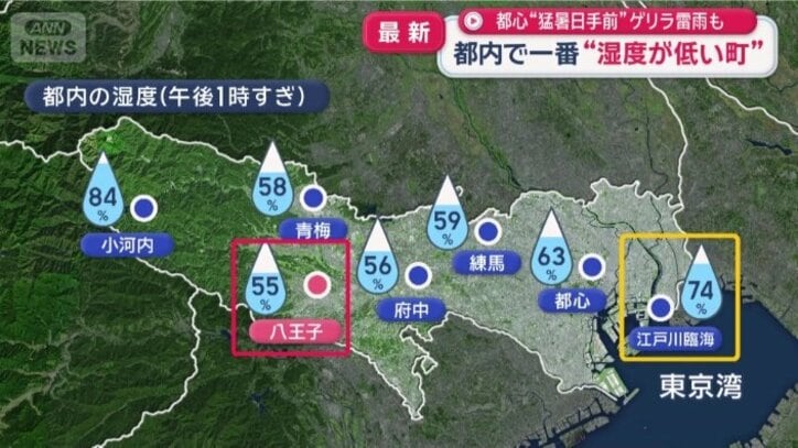 都内の湿度（午後1時すぎ）