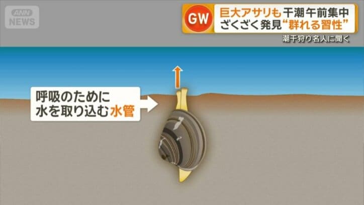 「水管」の跡が砂浜に残る