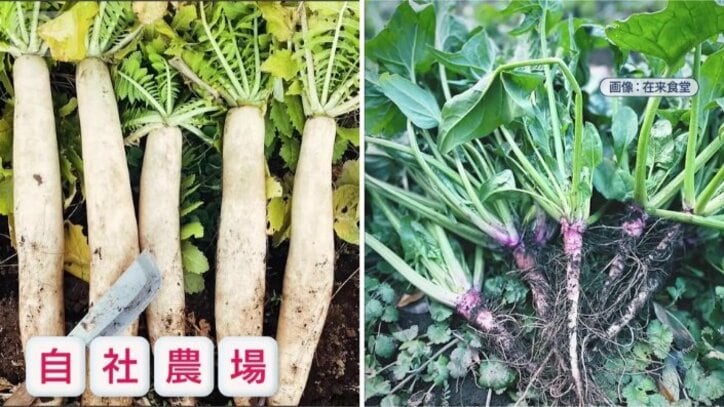 リーズナブルな食べ放題を実現