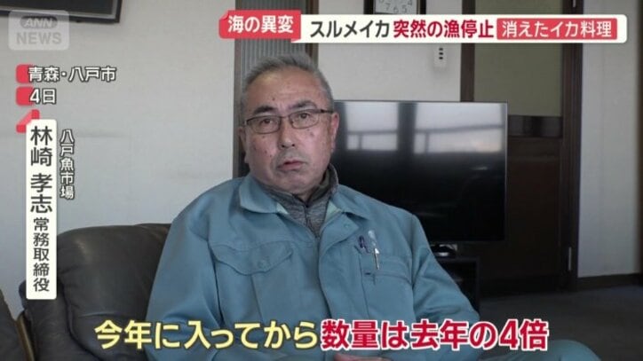 今年のイカ漁は「去年の4倍」