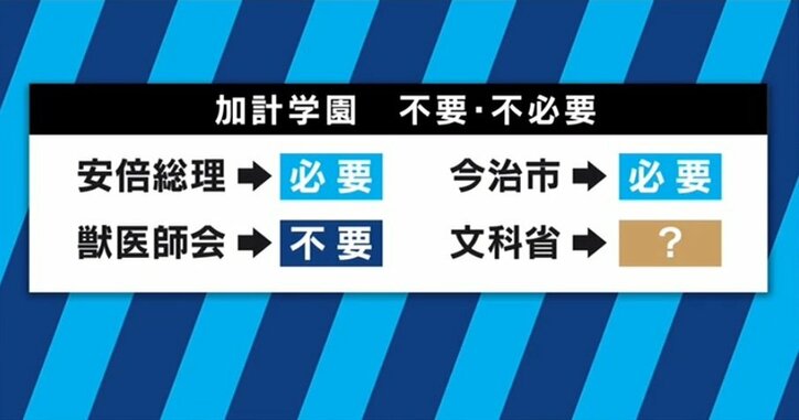 「年収は普通のOLさんよりは多少良いくらい」「数ではなく偏在が問題」「関心が高まったのは良いこと」加計学園問題に揺れる獣医師たちの思い