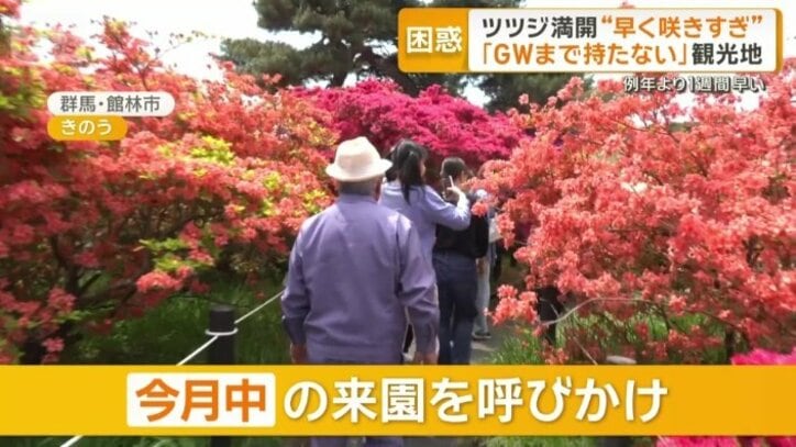 今月中の来園を呼びかけ
