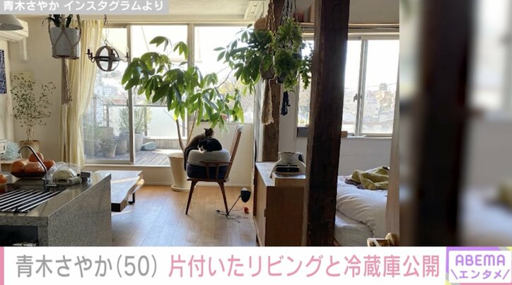 【写真・画像】青木さやか、整理整頓された冷蔵庫を公開し話題に「ディスプレイのよう」 2枚目