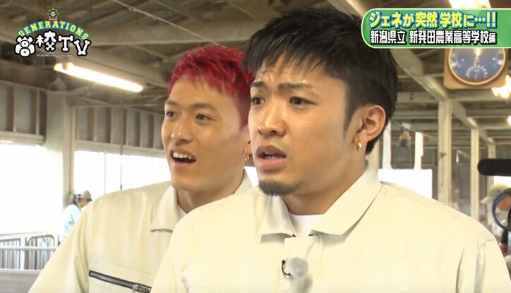 白濱亜嵐、牛に“メンディー”と名付け餌やり　「メンディーお食べ」