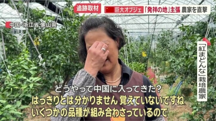 「9年近く栽培」