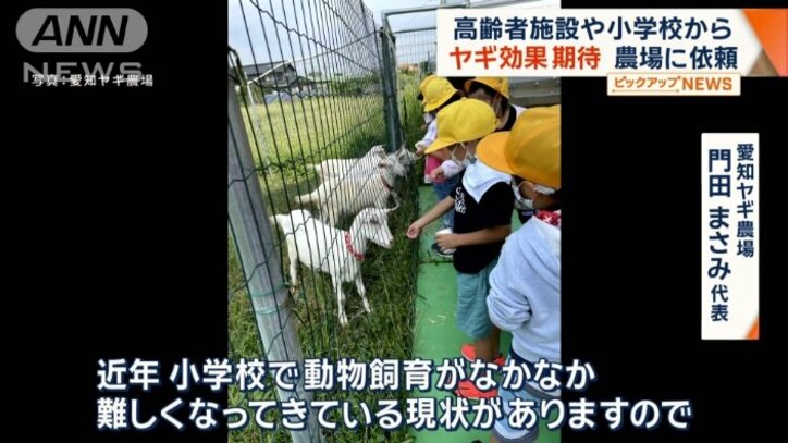小学校などとの協力も
