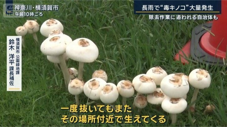 鈴木課長補佐
