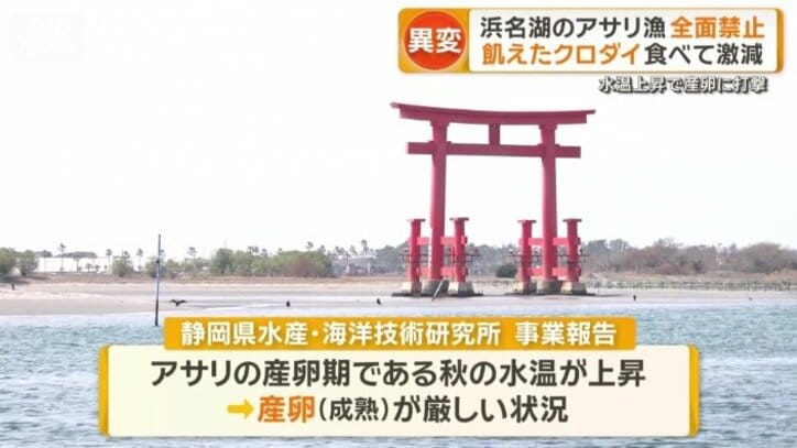 環境の変化が背景に