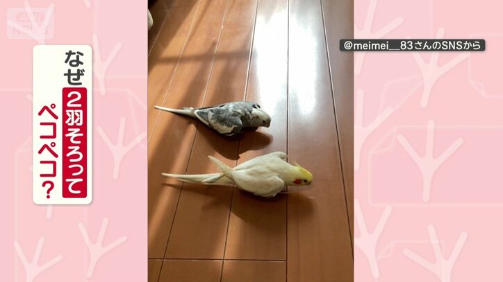 なぜそろってお辞儀する？