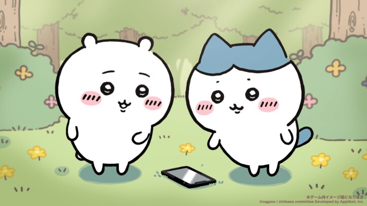 【写真・画像】　2枚目