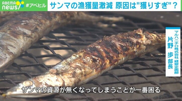 漁獲量激減の原因は“各国の獲りすぎ”!? サンマの資源数減少に警告の声「科学的根拠に基づく“漁獲枠”の割り当てを」