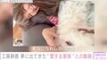 工藤静香（54）、7月に亡くなった“愛する家族”の夢を見る「撫でて！と、ワンワンと私を呼んでいる夢でした。本当に嬉しかったぁ」