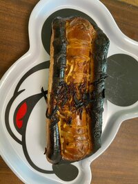 金子恵美『私の専門』