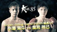 【無料】2018. 2.12 Krush.85 ハイライト特集-【秒殺KOで小澤完全復活!!!】小澤 vs 里見 - Abemaビデオ | AbemaTV(アベマTV)