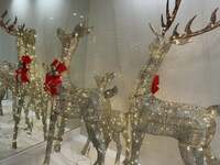 アレクサンダー『旅行の準備』