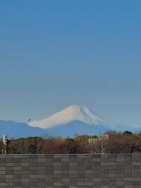 武智大輔『お別れに…』
