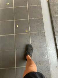 市川團十郎白猿『凄い蒸してるー』