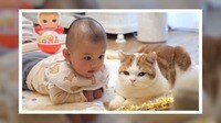 【映像】赤ちゃんと猫の兄妹のような関係