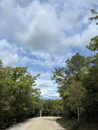 中村江里子『旅は続く・・・』