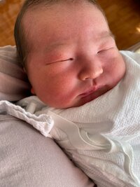 藤本美月『１日ぶりの我が子』