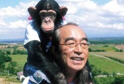 天才チンパンジー「パンくん」が野生化？ 25歳の誕生日に現地で見た“意外な姿”…志村けんさんとの感動エピソードも明らかに
